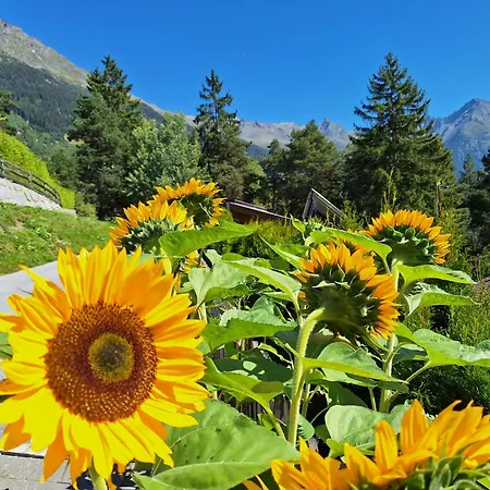 Amelie -2- Wallbox Fuer E-auto & Motorradgarage דירה *